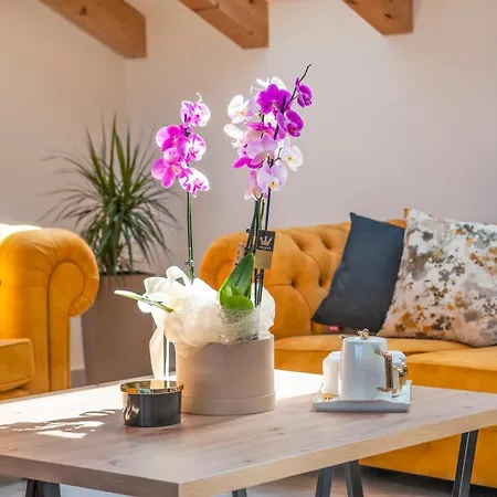 Boutique Arion Oda ve Kahvaltı Rovinj